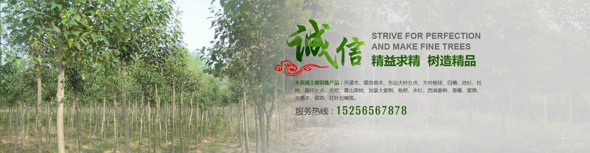 幻灯片A